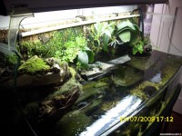 /album/paludarios/paludario-3-jpg/